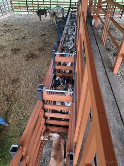 Prodam nadhernou farmu v Kostarice Guaycará Puntarenas, Nadh