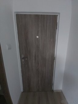 Pronajmu byt 1+kk v Chodově, ul. U Porcelánky. Byt je po kom