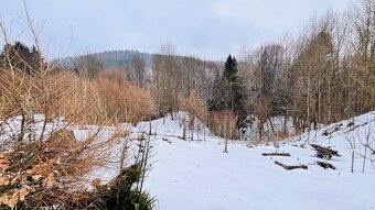 Pokud hledáte relax, čistou přírodu, čerstvý vzduch nebo tak