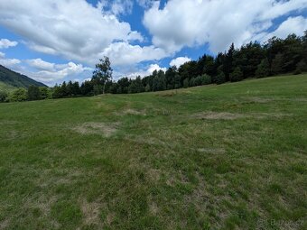 Prodej uceleného pozemku,typ pole.Rozloha 17352m².Vyjímečná 