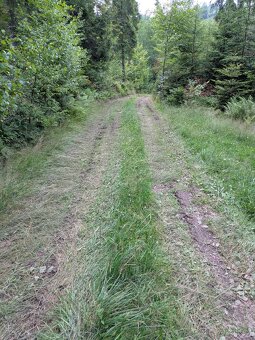 Prodej uceleného pozemku,typ pole.Rozloha 17352m².Vyjímečná 