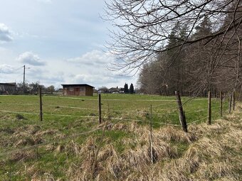 Pronajmu pole k zemědělskému nebo chovatelskému využití k po
