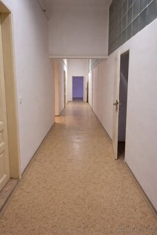 Brno – střed, ulice Běhounská Cena nájmu a konkrétní podmínk