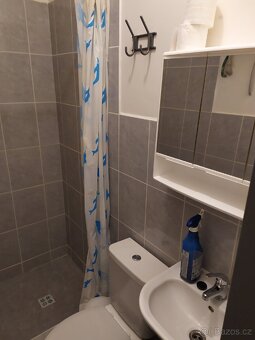 Rád bych nabídl k pronájmu malý byteček 1kk (18m2). Byt se n