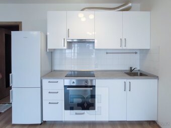 Ev.č. N09079 Exkluzivně nabízíme k pronájmu krásný, plně zař