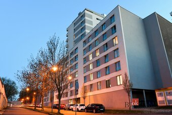 Pronájem, byty/1+kk, 30 m2, Nemocniční 3020/6, Jižní Předměs