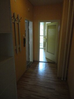 Nabízíme k pronájmu slunný byt 1+1, Černá Pole, ulice Merhau