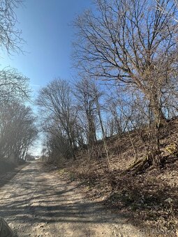 Prodám volný pozemek 2892m2 parc.č. 375/1 k.ú. Mukařov u Jiv