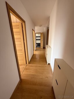 Nabízíme k pronájmu slunný byt o dispozici 3+1 a výměře 71 m