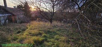 Nabízíme k pronájmu zahradu nacházející se v klidné lokalitě