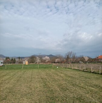 Pronajmu zahradu cca 2000 m² v obci Podsedice. Klidné místo 