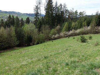 - Velký pozemek s krásnými výhledy, pastvina, glamping, nebo