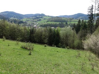 - Velký pozemek s krásnými výhledy, pastvina, glamping, nebo