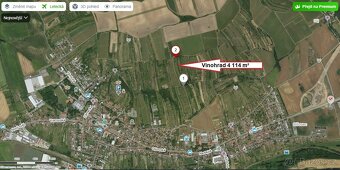 - Udržovaný vinohrad kousek za městem s nádhernými výhledy a