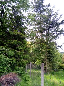 Prodám pozemky parc.c.3 o výměře 201m2,parc.c 4 o výměře 151