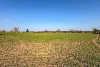 Exkluzivní prodej stavebního pozemku 11 770 m² – Předměřice 