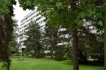 Nabízíme ke koupi příjemný a světlý byt s lodžií v družstevn