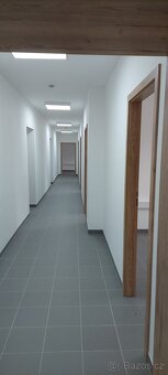 Nabízíme k pronájmu nově zrekonstruované kanceláře v centru 