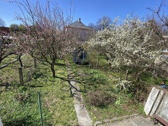 Otevřete dveře a místo klasického dojmu z bytu vás překvapí 