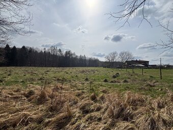 Pronajmu pole k zemědělskému nebo chovatelskému využití k po
