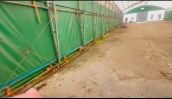 Prodám plachotovu halu zeleno-bíle barvy. Rozměry: 46m x 15,