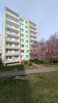 Nabízíme k pronájmu byt o dispozici 2+kk a výměře 40 m2 v ul