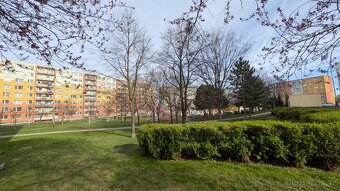 Nabízíme k pronájmu byt o dispozici 2+kk a výměře 40 m2 v ul