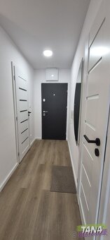 Ev.č. 00382 Dispozice bytu: vstup, vstupní chodba, koupelna 