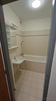 Dobrý den. K okamžitému nastěhování. Byt k pronájmu. Nájem 9