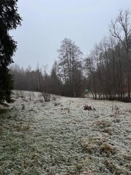 Nabízím k prodeji lesní pozemky v k.ú. Nespice Jedná se o: -