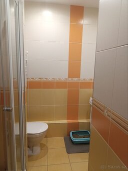 Pronájem bytu 1+1, 36 m², balkon, ul. Štefánikova, Hradec Kr