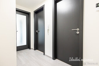 Nabízíme vám k dlouhodobému podnájmu moderní a slunný byt 2+