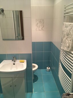 Prodávám družstevní byt 2+1 o plošné výměře 45metrů v Litovl