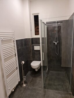 Nabídka dlouhodobého pronájmu částečně zařízeného bytu 1+1 (