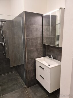 Nabídka dlouhodobého pronájmu částečně zařízeného bytu 1+1 (