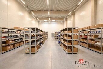 Pronájem, komerční/obchodní prostory, 444 m2, Vinohradská, B