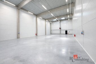 Pronájem, komerční/obchodní prostory, 444 m2, Vinohradská, B