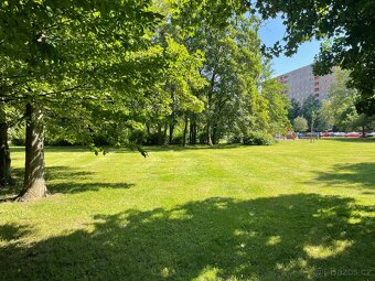 Nabízím dlouhodobý pronájem bytu 2+1, 55m2. Byt je čerstvě p