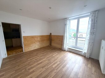 Nabízíme k pronájmu bytovou jednotku 1+kk o výměře 20 m2. So