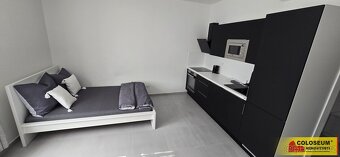 Ev.č. 5433B004 Plně vybavený 1+kk cca 32 m² – Thonet Palace,