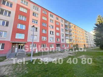 Společnost Ginkona s.r.o. vám exkluzivně zprostředkuje proná