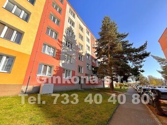 Společnost Ginkona s.r.o. vám exkluzivně zprostředkuje proná