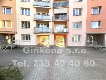 Společnost Ginkona s.r.o. vám exkluzivně zprostředkuje proná