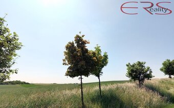 Ev.č. 00602 Na prodej: 2,3 ha políčko v Čelákovicích – pro t