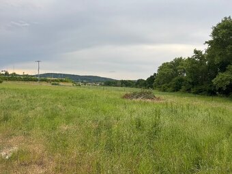 Pronájmu oplocenou zahradu o velikosti 8 000m2 ve Spořicích 