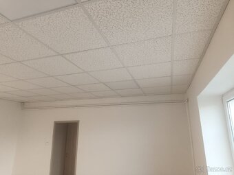 Pronajmu kanceláře, celkem 105 m2, vlastní sprcha, 2xWC, kuc