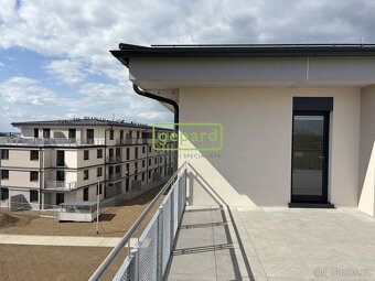 Gepard reality vám nabízí k pronájmu velmi příjemný a slunný