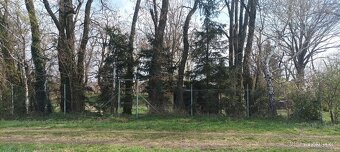 Nabízím k dlouhodobému pronájmu zahradu o rozloze 420 m2. So