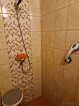 Nabizim k prodeji chatu prestavenou na celorocni uzivani. So