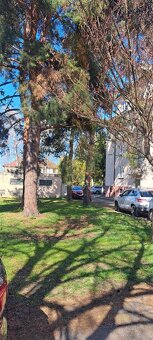 Prodej krásného bytu 2+1, 50 m², Rožnov – po kompletní rekon
